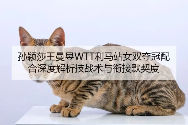 sun-ying-sha-wang-man-yu-li-ma-zhan-nv-shuang-duo-guan-pei-he-shen-du-jie-xi-ji-zhan-shu-yu-xian-jie-mo-qi-du-2-205.jpg