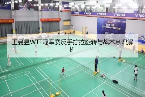 王曼昱WTT冠军赛反手拧拉旋转与战术意识解析